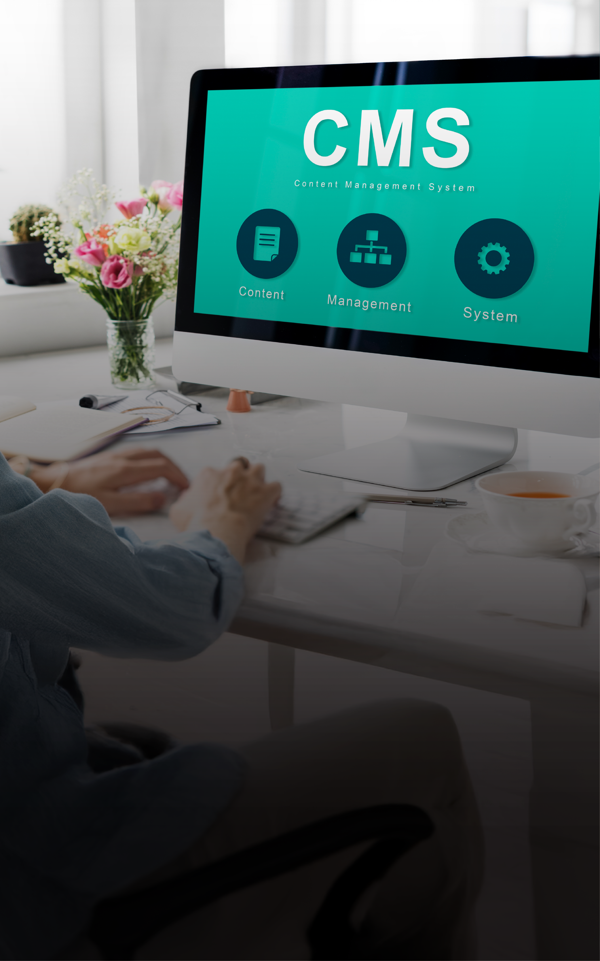 CMS Enterprise Solution Development
